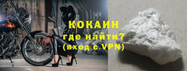гидра Каменногорск