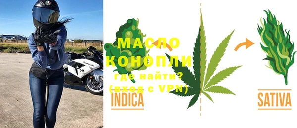 гидра Каменногорск