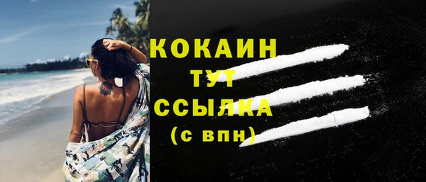 гидра Каменногорск