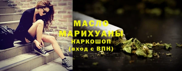 гидра Каменногорск