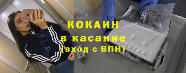 гидра Каменногорск