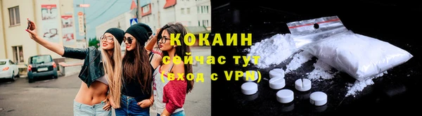 гидра Каменногорск