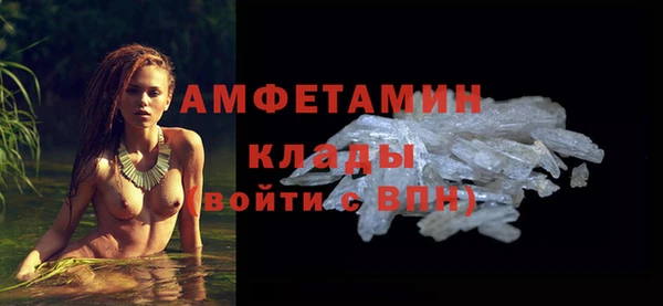 гидра Каменногорск