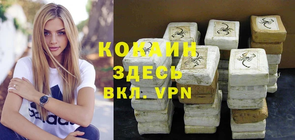 гидра Каменногорск