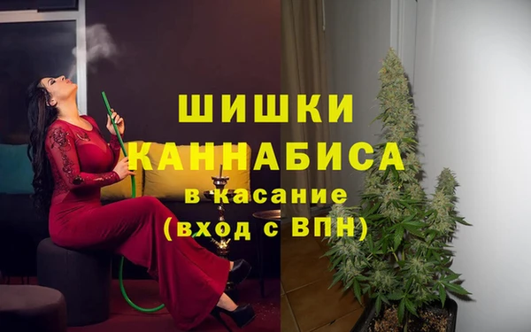 гидра Каменногорск